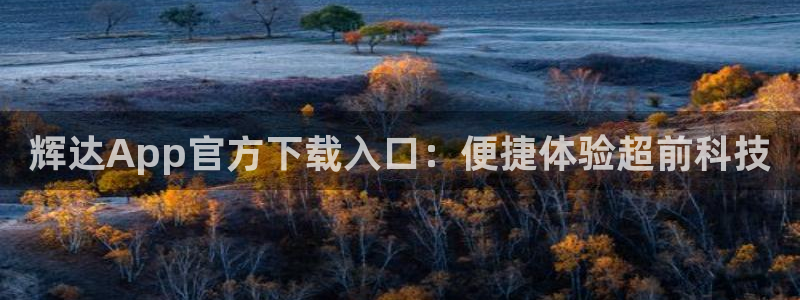 上海彩易通汽车电子有限公司：辉达App官方下载入口：便捷体验超前科技