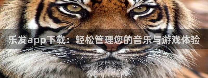 彩易通股份：乐发app下载：轻松管理您的音乐与游戏体验