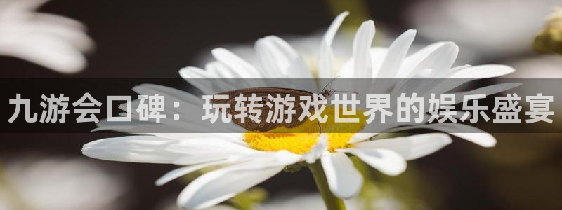彩易通游戏有哪些好玩的：九游会口碑：玩转游戏世界的娱乐盛宴