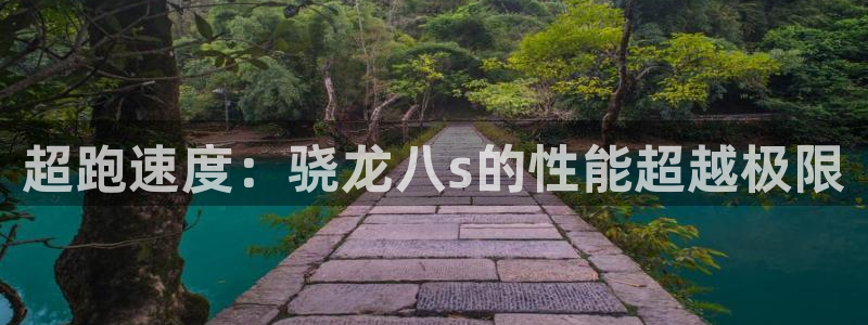 德国彩易通集团：超跑速度：骁龙八s的性能超越极限