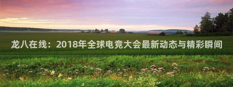 彩易通4官网：龙八在线：2018年全球电竞大会最新动态与精彩瞬间