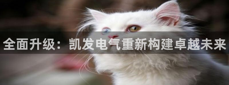 彩易通代理：全面升级：凯发电气重新构建卓越未来