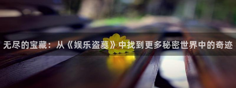 彩易通集团官网：无尽的宝藏：从《娱乐盗墓》中找到更多秘密世界中的奇迹