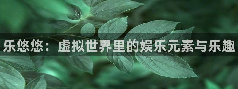 彩易通平台注册：乐悠悠：虚拟世界里的娱乐元素与乐趣