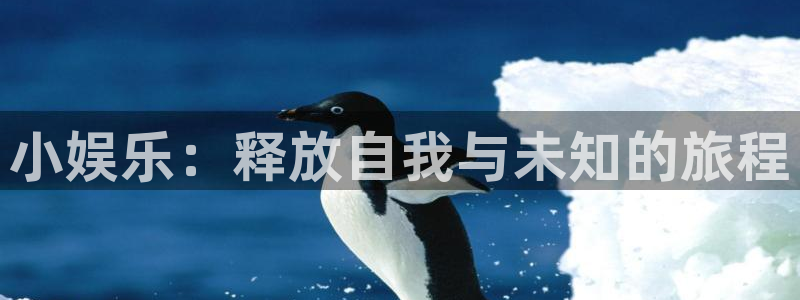 彩易通f平台注册：小娱乐：释放自我与未知的旅程