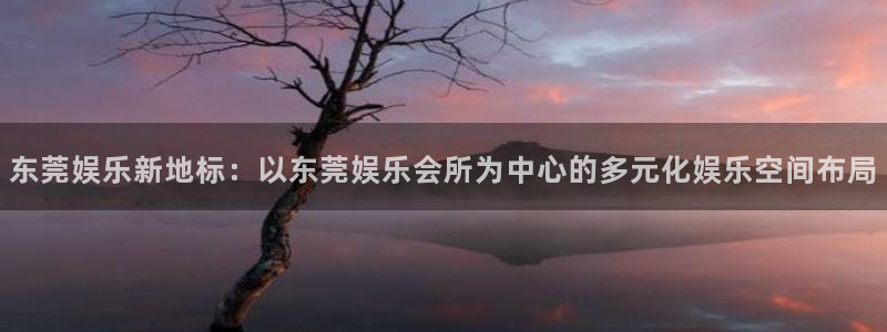 彩易通2登录：东莞娱乐新地标：以东莞娱乐会所为中心的多元化娱乐空间布局