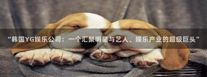 彩易通体育平台开号链接：“韩国YG娱乐公司：一个汇聚明星与艺人、娱乐产业的超级巨