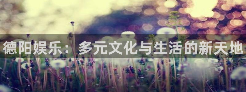彩易通体育凯捷平台招商：德阳娱乐：多元文化与生活的新天地