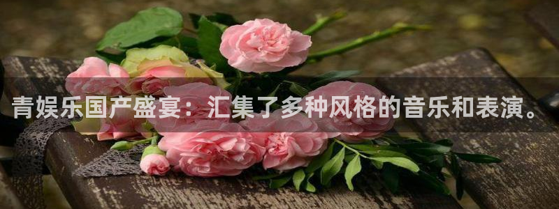 彩易通体育官网入口登录：青娱乐国产盛宴：汇集了多种风格的音乐和表演。