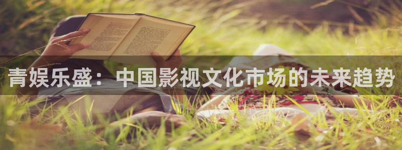 彩易通3平台登录注册：青娱乐盛：中国影视文化市场的未来趋势