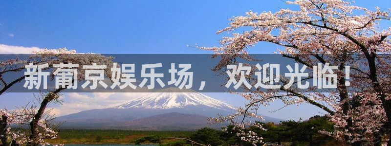 福建彩易通机电股份公司：新葡京娱乐场，欢迎光临！