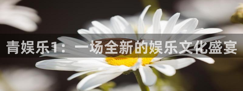 彩易通3登录：青娱乐1：一场全新的娱乐文化盛宴