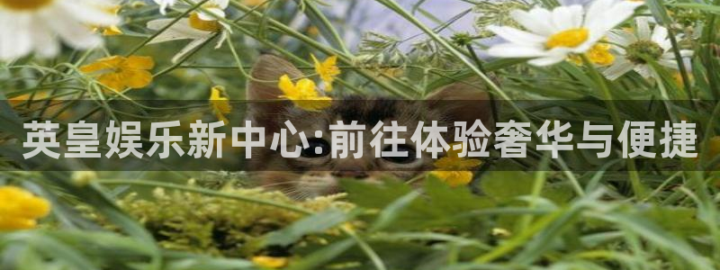 彩易通体育2官网入口：英皇娱乐新中心:前往体验奢华与便捷