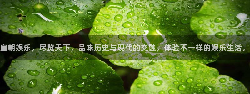 彩易通体育老板是谁：皇朝娱乐，尽览天下，品味历史与现代的交融，体验不一样的娱乐生