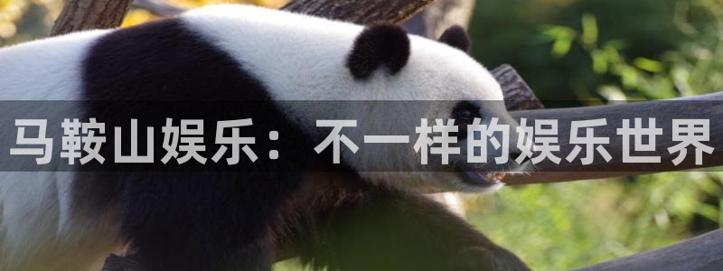 彩易通体育官网登录：马鞍山娱乐：不一样的娱乐世界