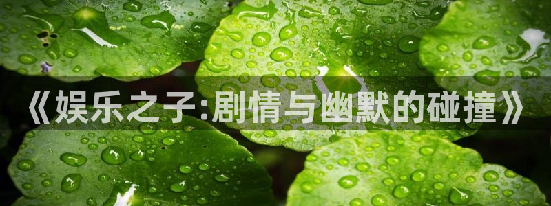 上海彩易通汽车电子有限公司：《娱乐之子:剧情与幽默的碰撞》
