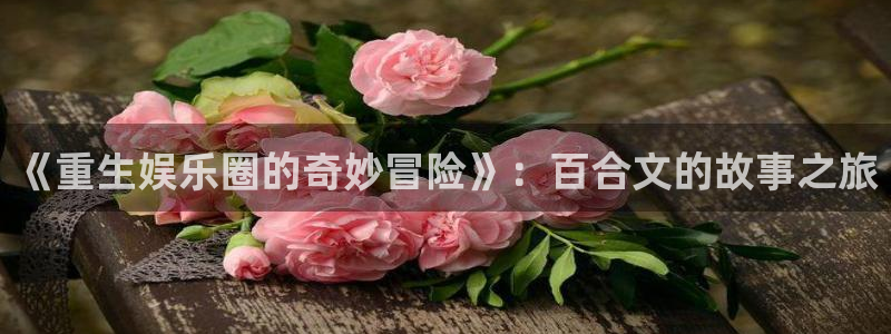 彩易通5招商：《重生娱乐圈的奇妙冒险》：百合文的故事之旅