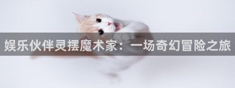 彩易通平台：娱乐伙伴灵摆魔术家：一场奇幻冒险之旅