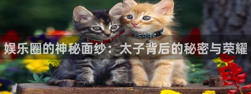 彩易通2登录地址：娱乐圈的神秘面纱：太子背后的秘密与荣耀